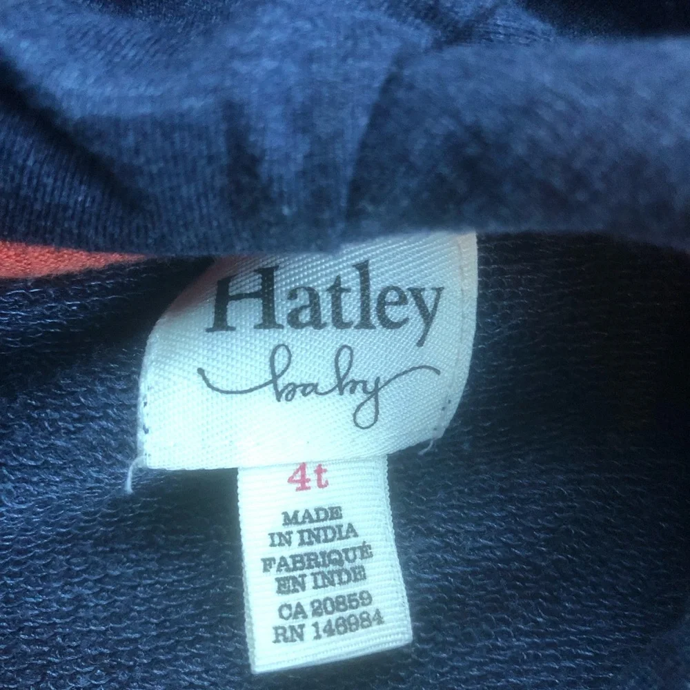 Hatley Dinosaur Hoodie Sweatshirt 4T - Picture 6 of 7